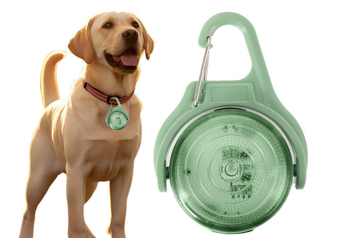 Dog Collar Light Rechargeable LED Water Resistance with 4 Modes for Night Walking