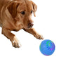 Interactive Dog Ball Toy Smart Moving Bouncing Dog Ball with LED Lights for Dogs Puppies