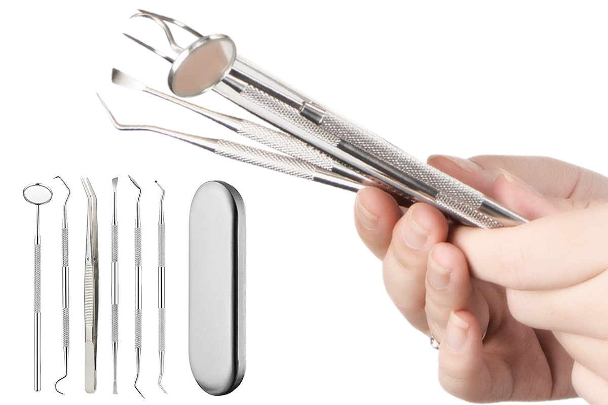 Professional Dental Tool Kit 6 Piece Stainless Steel Oral Care Set