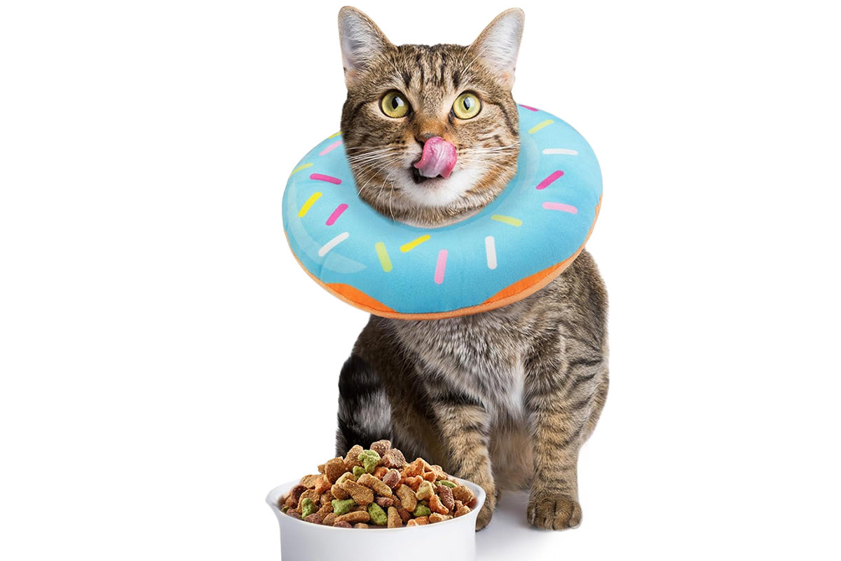 Cat Cone Soft Collar Adjustable Kitten Recovery Cones Cat Donut Collar-Blue