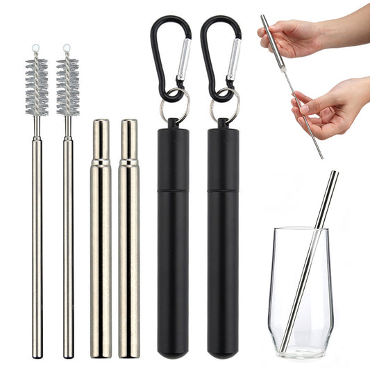 2 Pack Collapsible Stainless Steel Travel Straws with Keychain Cases