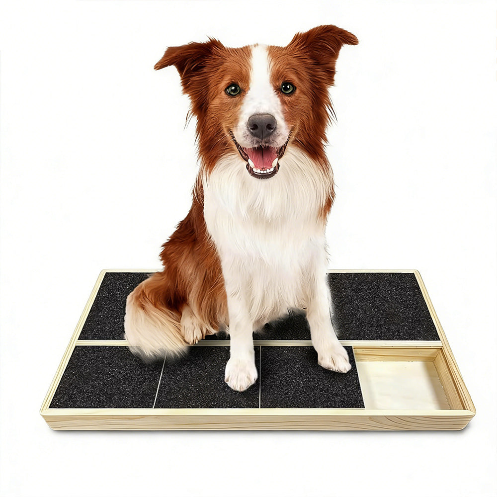 Wooden Dog Nail Scratch Board Interactive Nail File Pad for Dogs Indoor & Outdoor