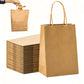 50 Pack Brown Kraft Paper Gift Shopping Bags with Handles for DIY