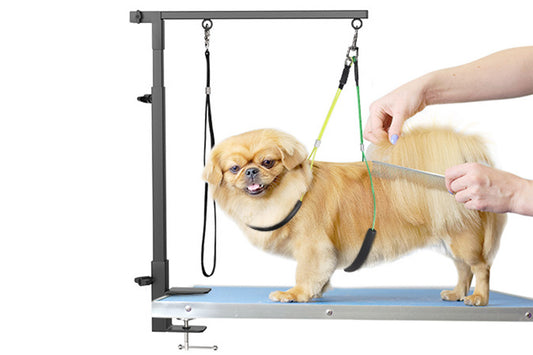 Dog Grooming Arm Pet Grooming Hammock Dog Grooming Stand with Loop Noose