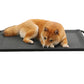 Heavy Duty Pet Raised Bed Elevated Trampoline Pet Bed Dog Mesh Hammock