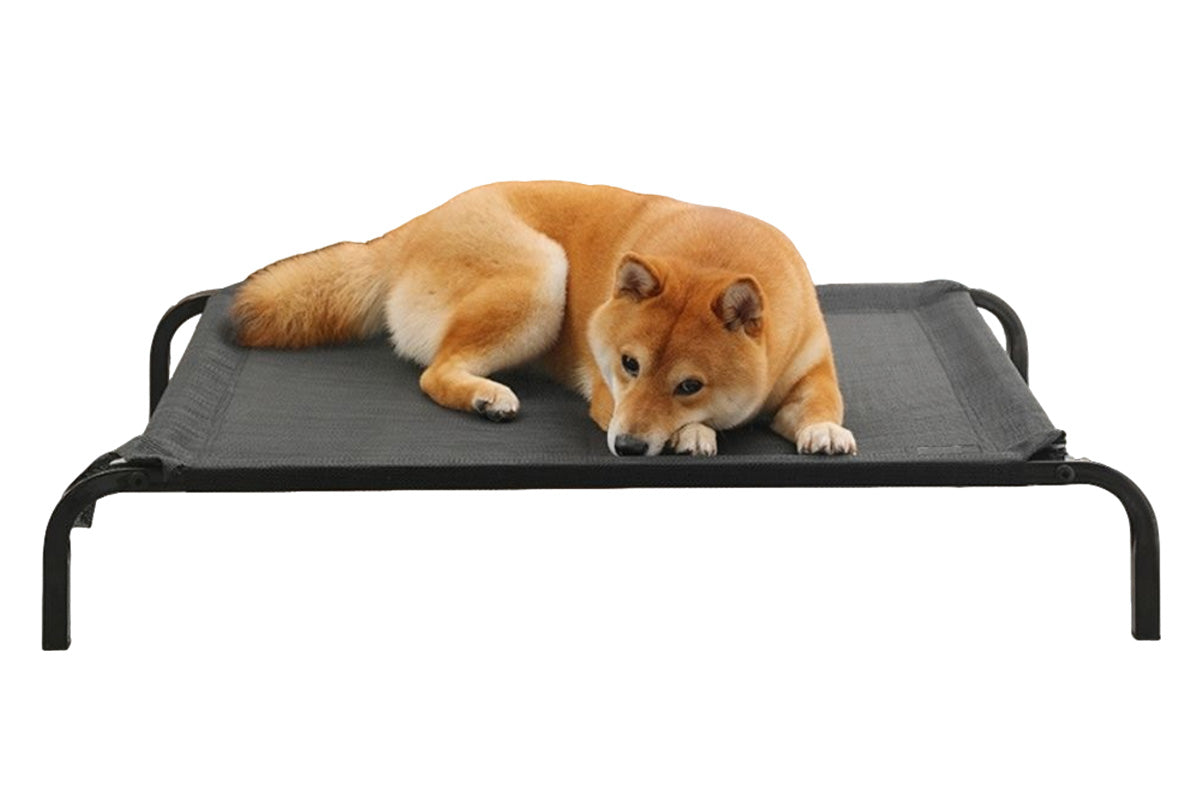 Heavy Duty Pet Raised Bed Elevated Trampoline Pet Bed Dog Mesh Hammock