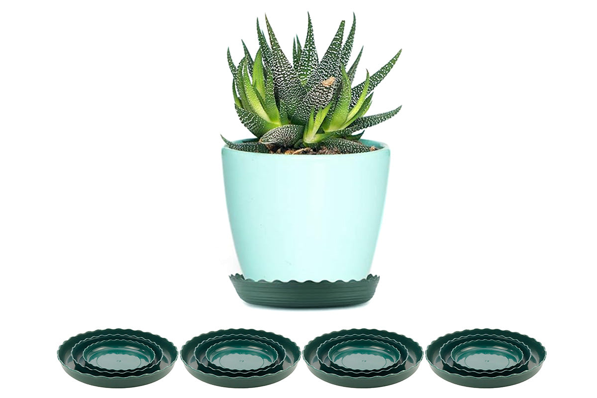 12Pcs Round Plastic Plant Saucers Durable Flower Pot Tray for Indoor Outdoor Garden