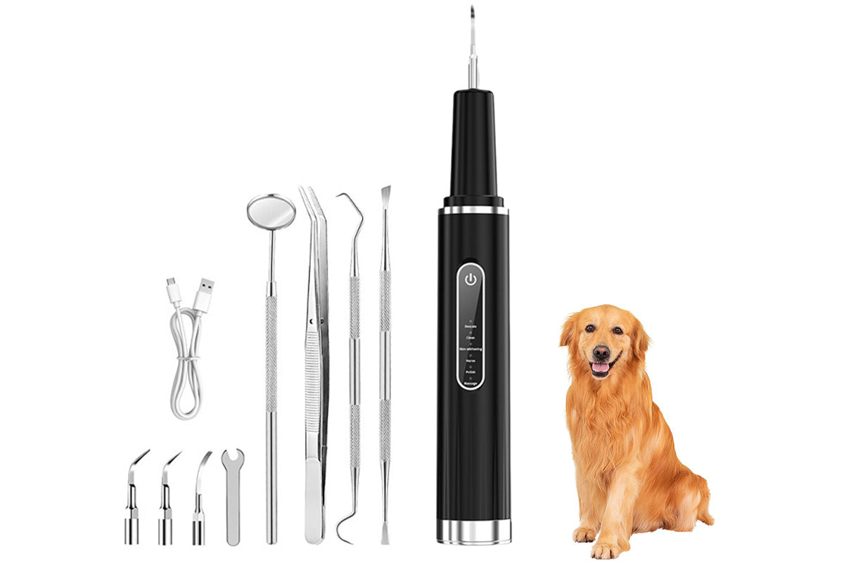 Ultrasonic Pet Plaque Remover for Dogs and Cats Electric Teeth Cleaner