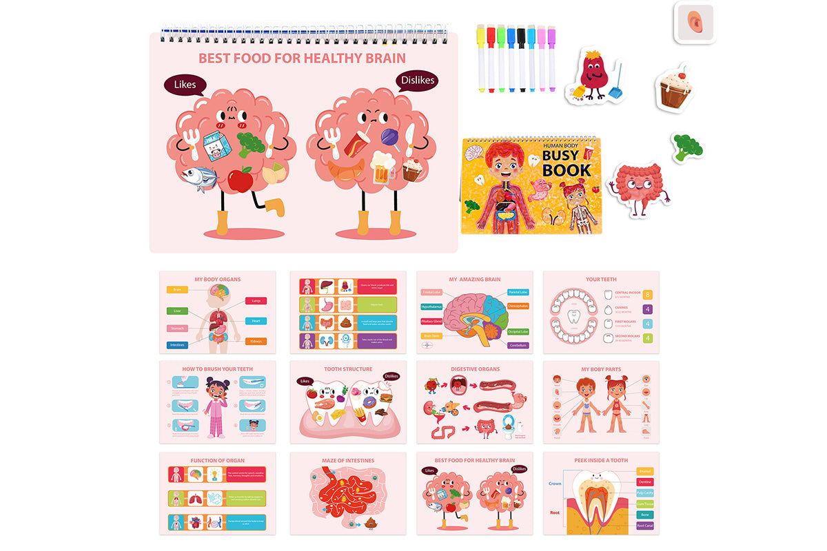 Montessori Busy Book Human Body Anatomy Book Learning Human Body Activities Book