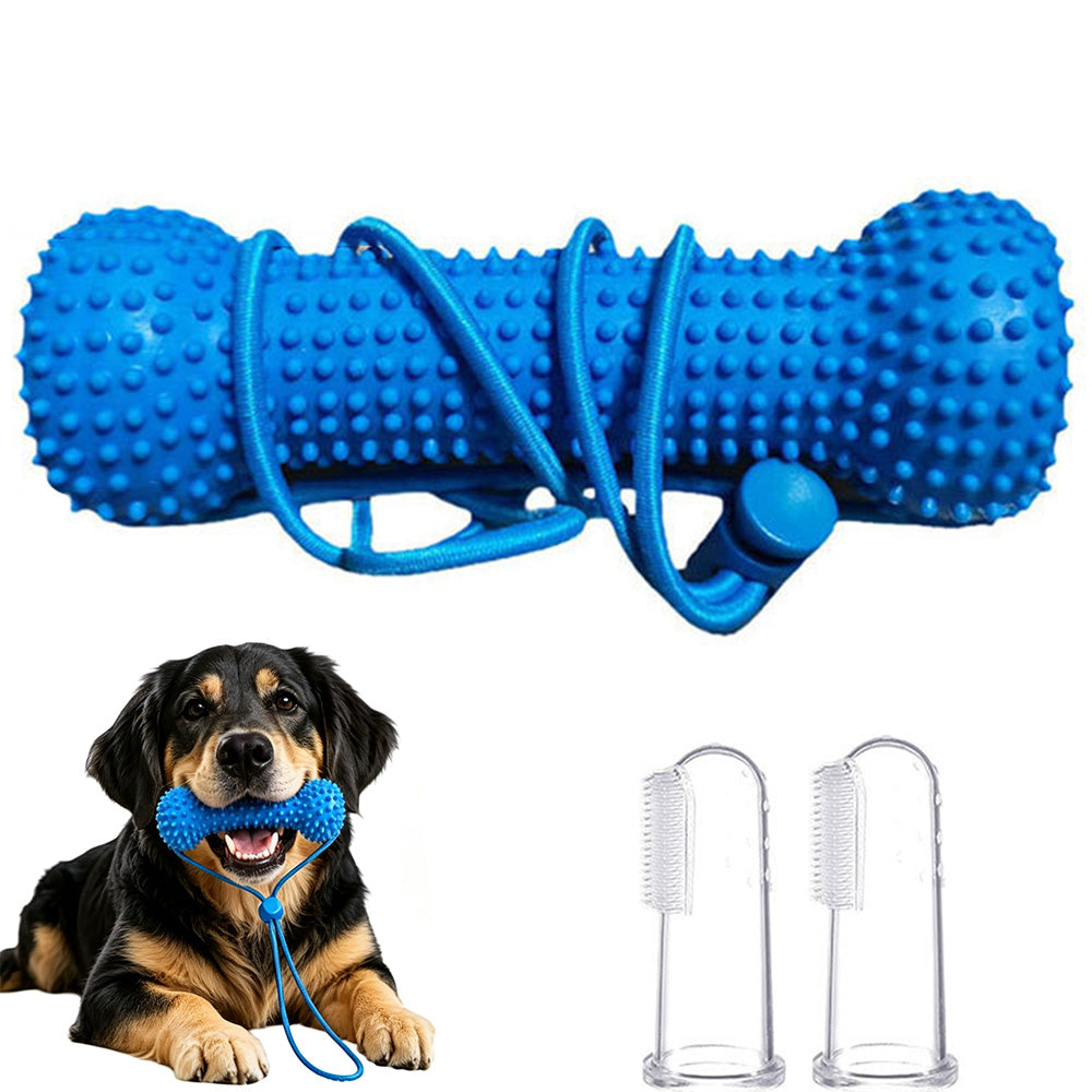 Durable Rubber Bone Dog Chew Toy with 2 Toothbrushes for Training & Solo Play