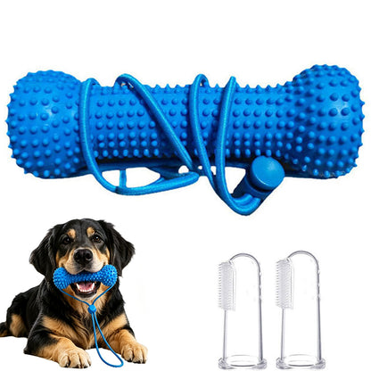 Durable Rubber Bone Dog Chew Toy with 2 Toothbrushes for Training & Solo Play