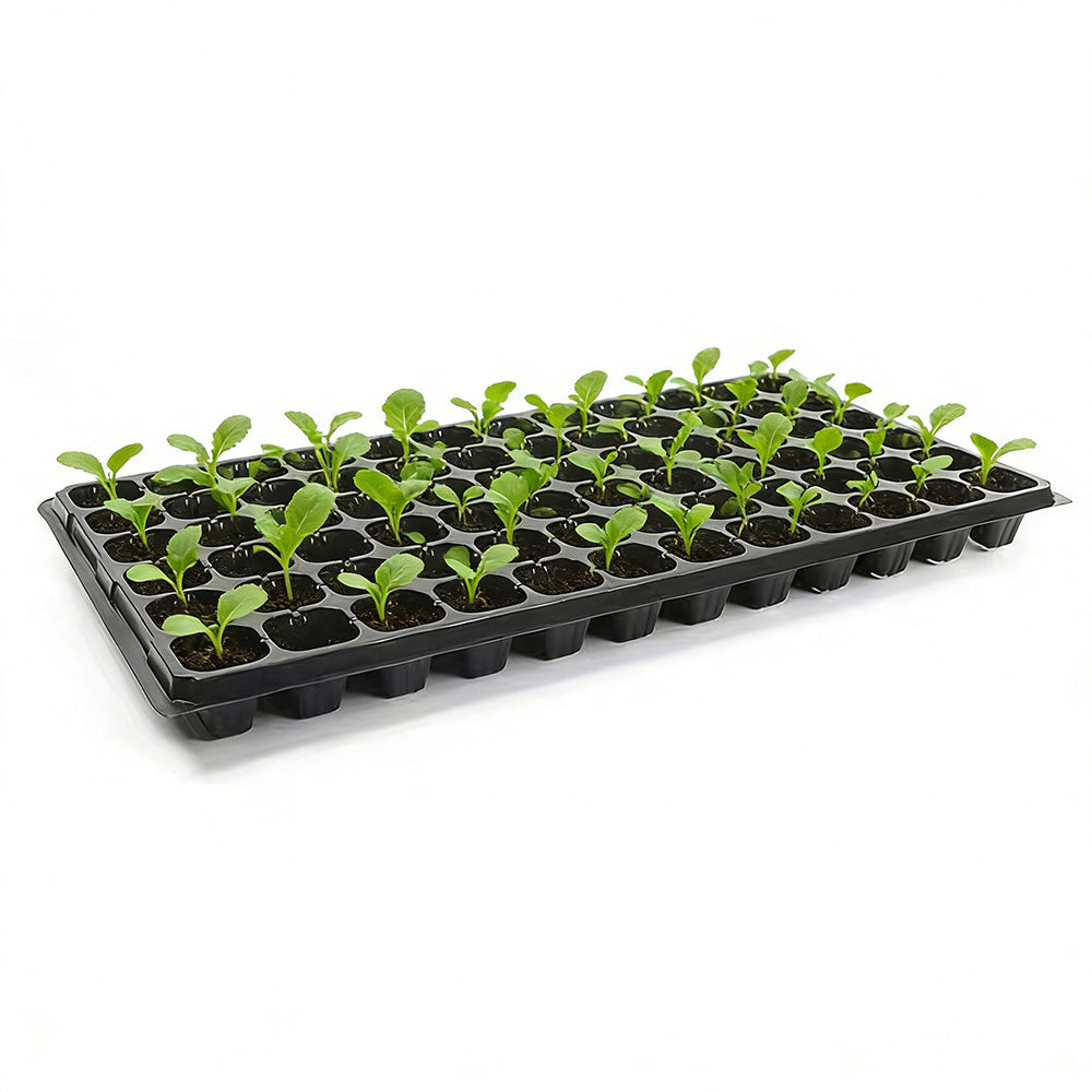 10 Pack Deep Cell Seed Starter Trays for Plant Nursery