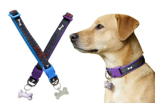 Adjustable Dog Collar with Bone Pendant Nylon Puppy Collar for Small Dogs
