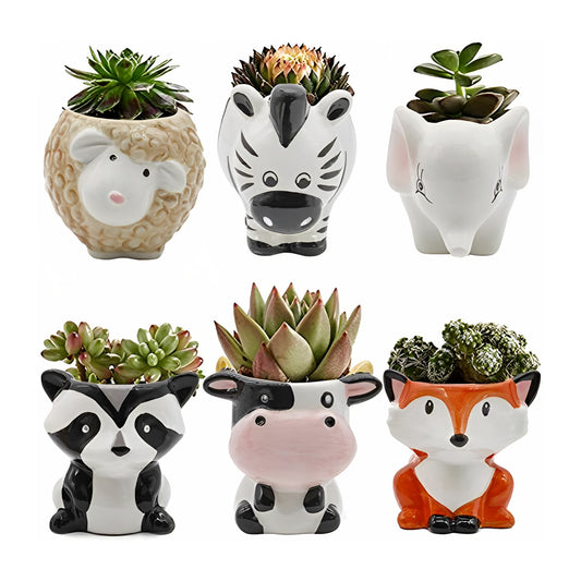 6pcs Cute Animal Shaped Plant Succulent Pots