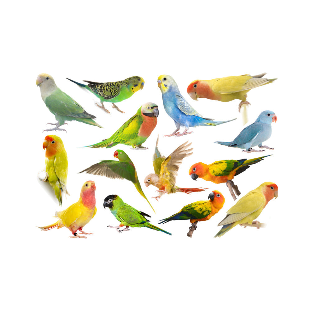 Parrot Wall Decals Green Leaf Birds Watercolor Stickers