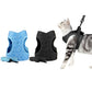 Pet Harness and Leash