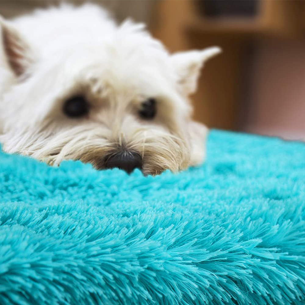 Fluffy Modern Floor Carpet