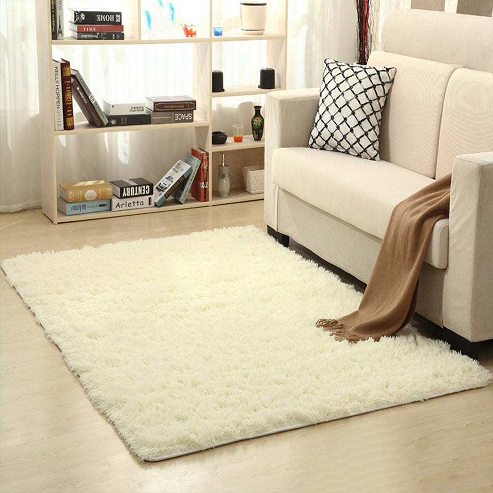 Fluffy Modern Floor Carpet