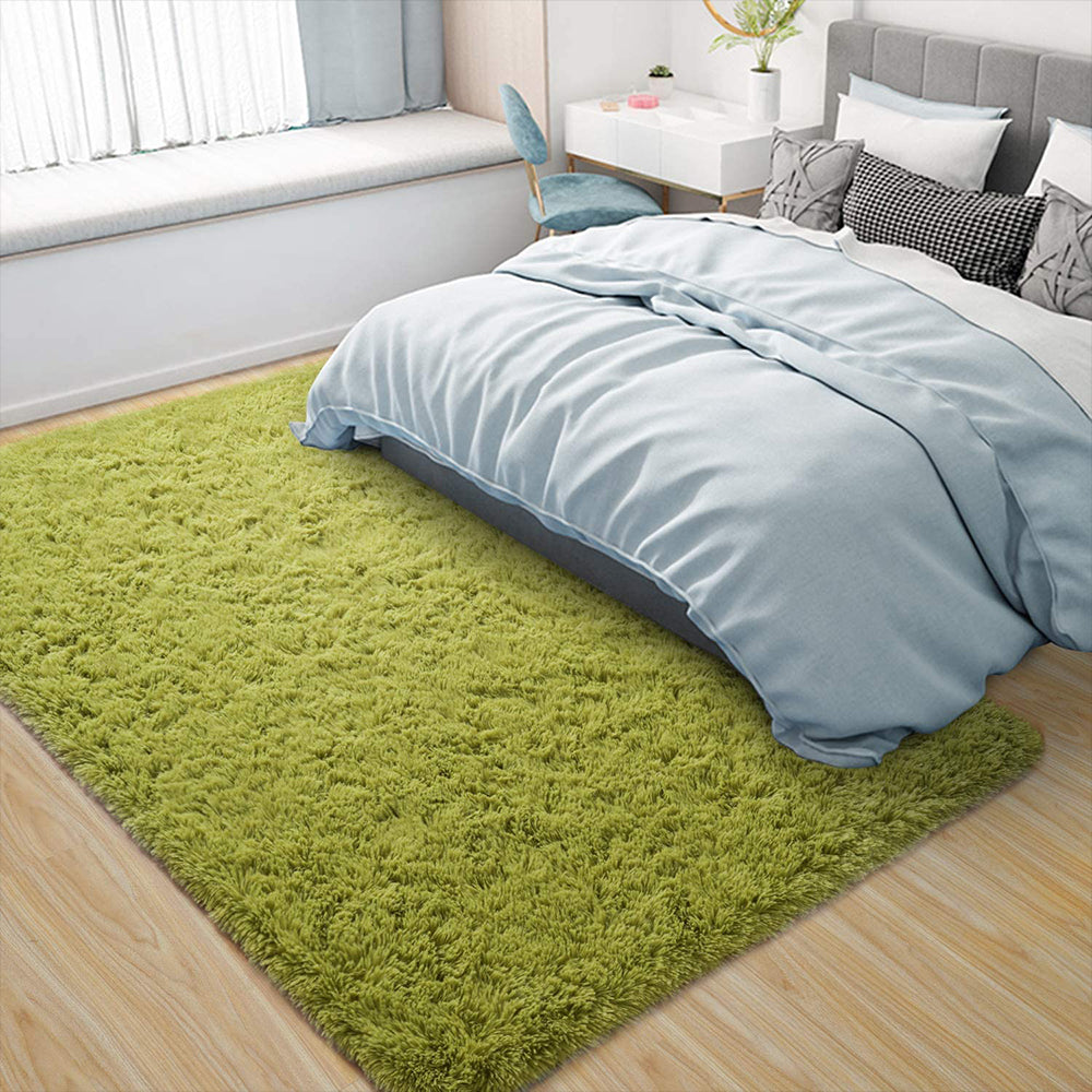 Fluffy Modern Floor Carpet