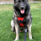 Reflective Adjustable No Pull Dog Harness with Soft Handle-Red