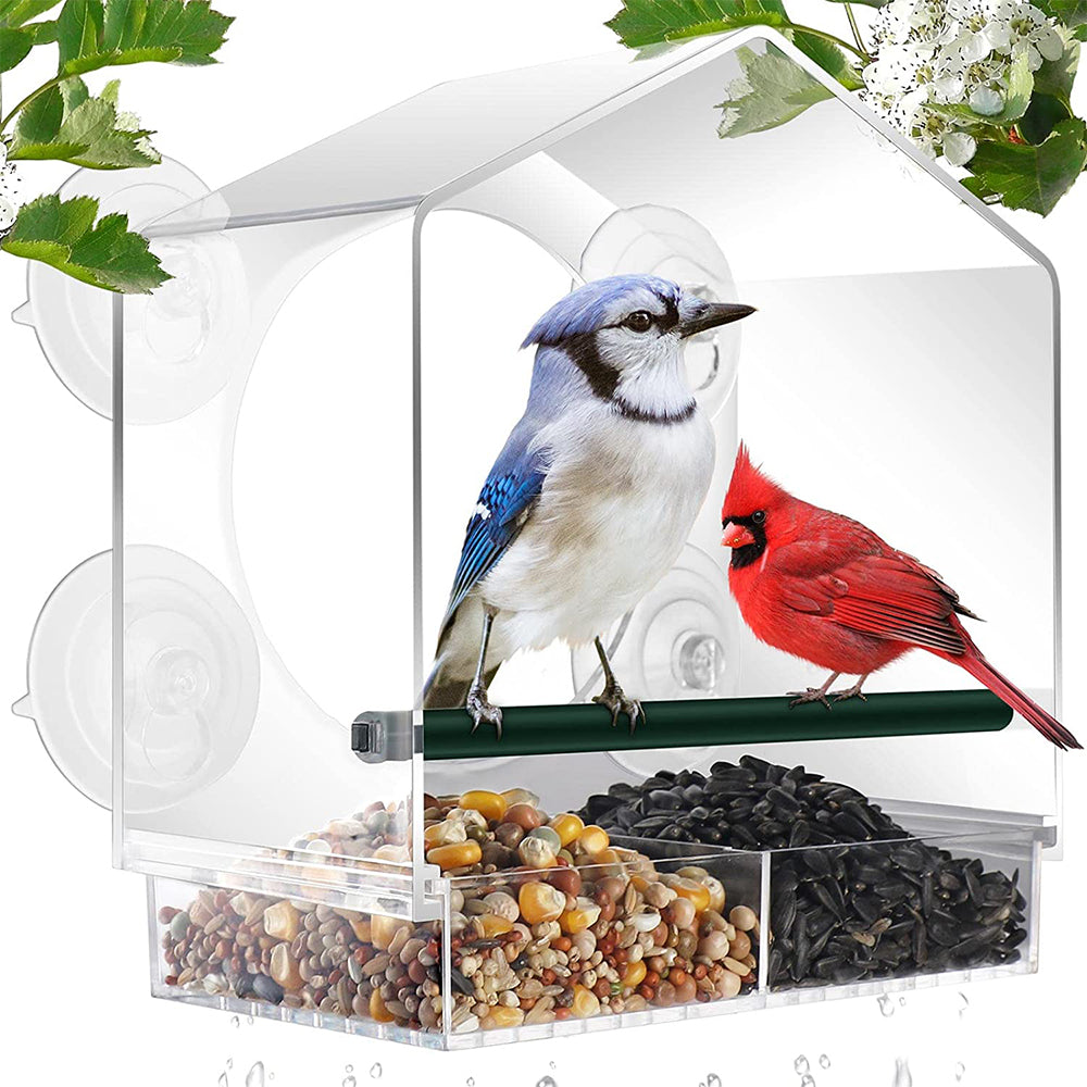 Acrylic Clear Window Bird Feeder with 4 Suction Cups