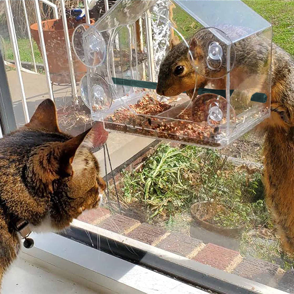 Acrylic Clear Window Bird Feeder with 4 Suction Cups