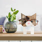 Animal Wooden Eyeglasses Holder-Kitty