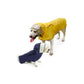 Dog Raincoat with Hat