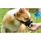 Dog Muzzle Adjustable Mouth Anti Bark Bite/Chew Mask-Black