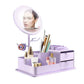 Cosmetics Storage Box with LED Makeup Mirror