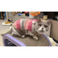 Pet Knitted Sweater