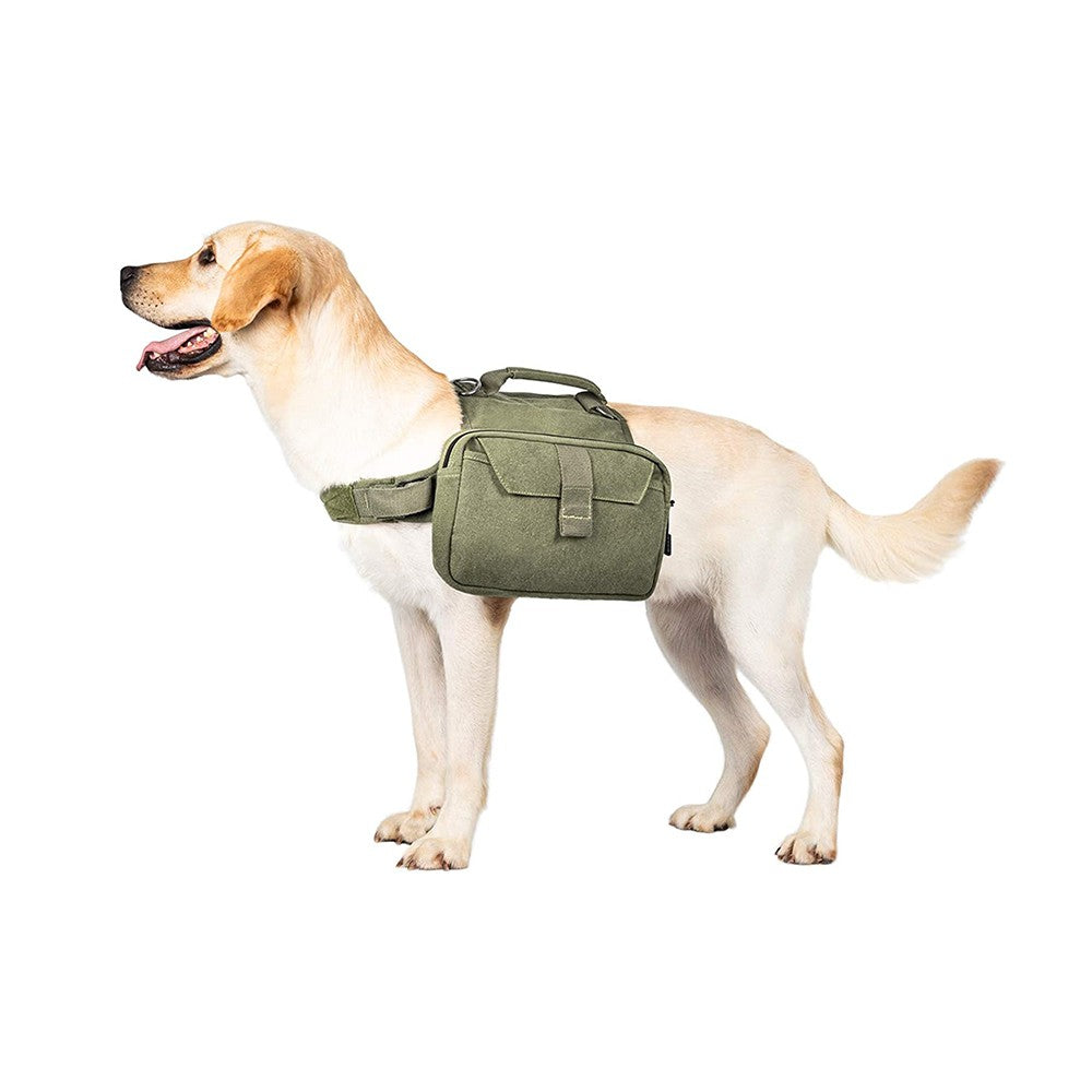 Dog Backpack-Green