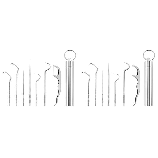 7-Piece Stainless Steel Toothpick Set