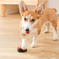 Pet Recordable Communication Button