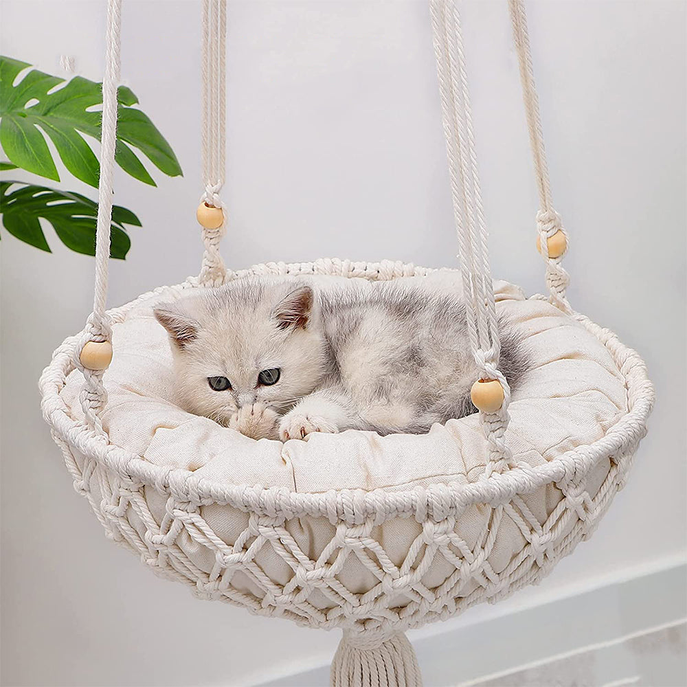 Cat Hammock