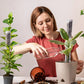 4Pcs Moss Pole Coir Moss Totem Pole Stick for Plant Stakes and Supports