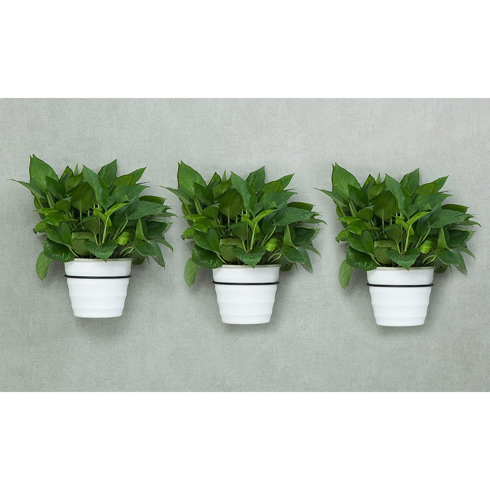 2Pcs Metal Wall Plant Pot Loop Holder