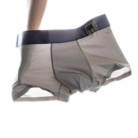 2-Pack Men's See-Through Briefs Everyday Underpants