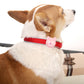 Silicone Tracker Protective Case for Pet Collar Compatible with Apple Airtag