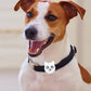 Silicone Tracker Protective Case for Pet Collar Compatible with Apple Airtag