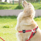Silicone Tracker Protective Case for Pet Collar Compatible with Apple Airtag