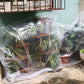 2-Pack Winter Plant Covers Freeze Protection Cover Frost Freeze Protection Bag