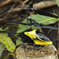 Kids Flying Toy RC Helicopter USB Charging Remote Control Aircraft